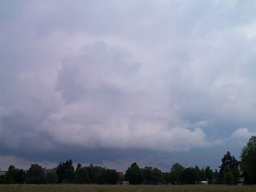 Gut entwickelter Cumulonimbus