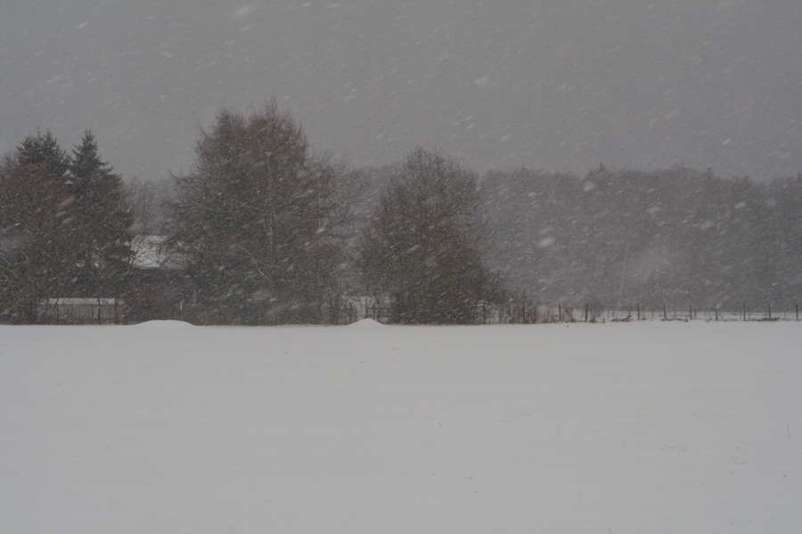 Schneefall