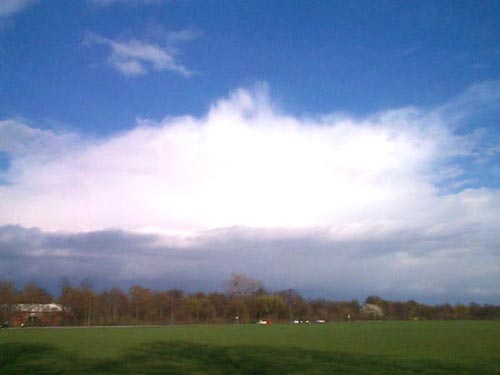 Cumulonimbus capillatus