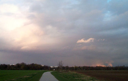 Cumulonimbus capillatus