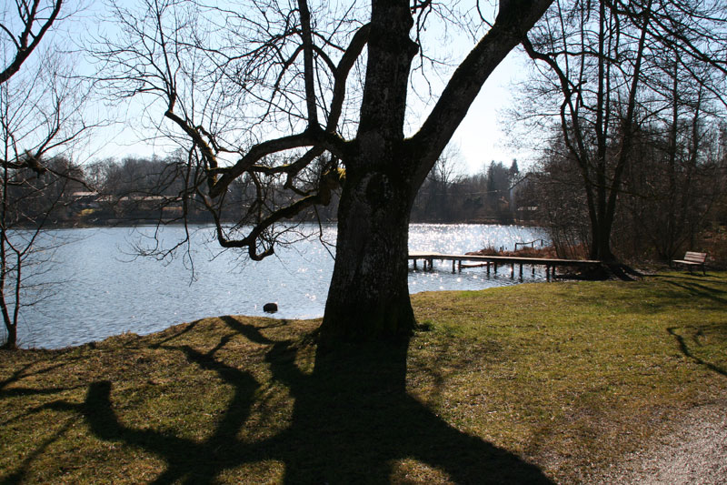 wesslingersee4