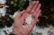 Nach Hagelschauer kleinkrniger Hagel