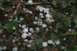 Gebietsweise Hagelansammlungen mit Hagelkörnern von 1 bis 3 cm Durchmesser östlich von Penzberg