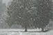 Beginnender Schneefall am frühen Abend des 27.10.2012