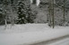 Schneefall am 31.12.2011
