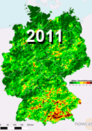 Blitzdichtekarte 2011